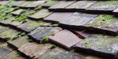 Coggeshall roof repair costs